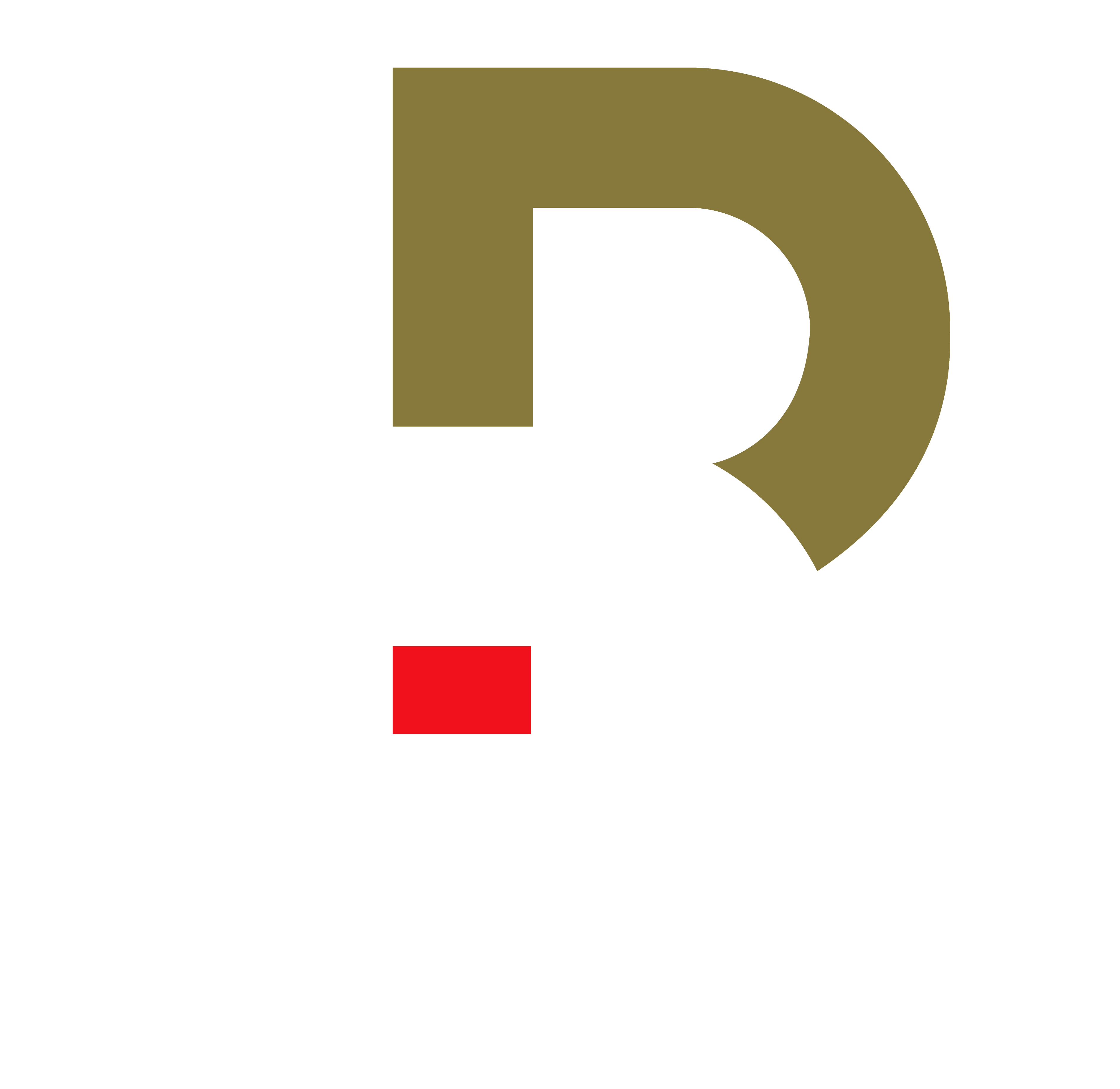 BD Professional Logo